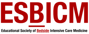 ESBICM logo